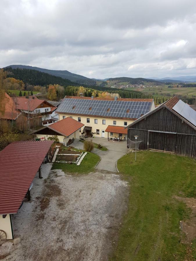 Apartament Gut Steinhuegel Bischofsmais Zewnętrze zdjęcie
